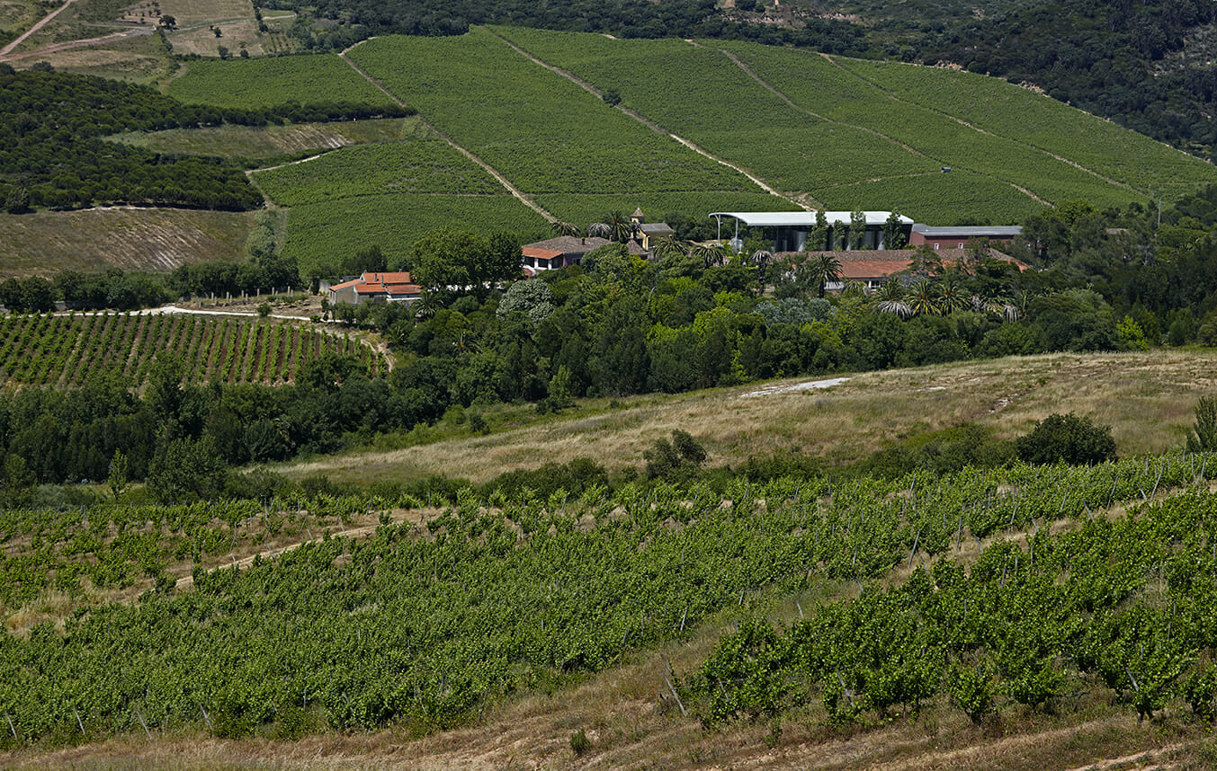 Quinta da Romeira, Sogrape