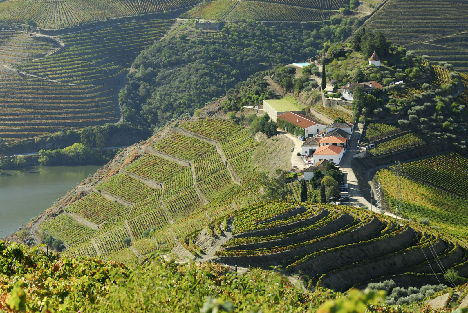 Crasto tinto Portugal