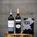 Gala Vinhos do Tejo premiou vinhos, pessoas e empresas