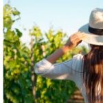 ViniPortugal promove vinhos nacionais nos EUA
