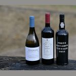 Os vencedores do Concurso de vinhos do Douro Superior 2024