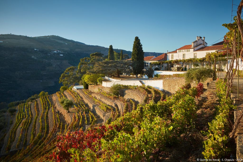 Quinta do Noval