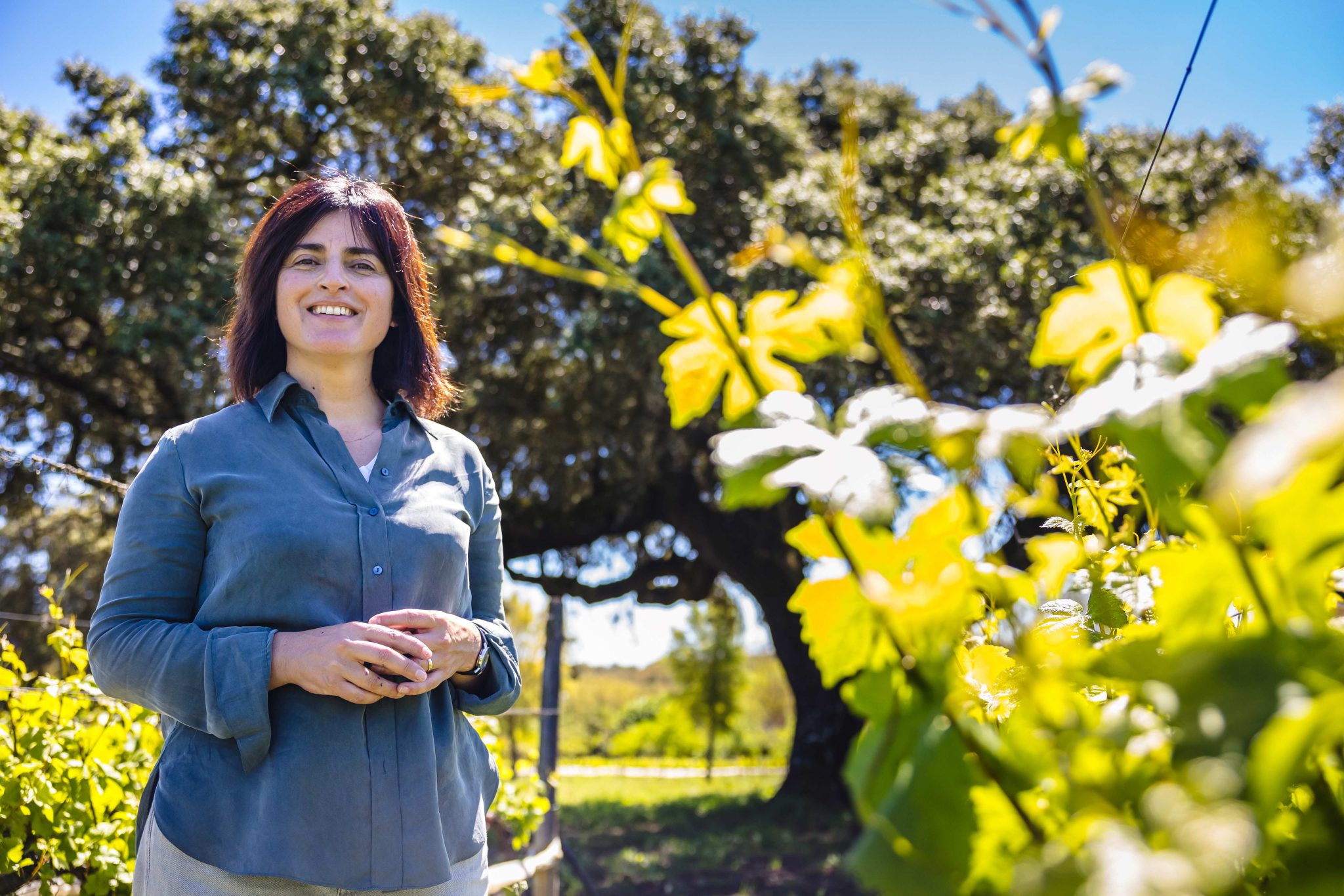 A enóloga Sandra Alves assumiu recentemente a direção de enologia do Monte das Herdades, com o objetivo de continuar o percurso de viticultura sustentável e produção de vinhos biológicos desta empresa do grupo Laura Varela Mirpuri (LVM Holding), que integra também investimentos na área da produção e distribuição de bebidas, energia, embalagens e produtos de beleza.