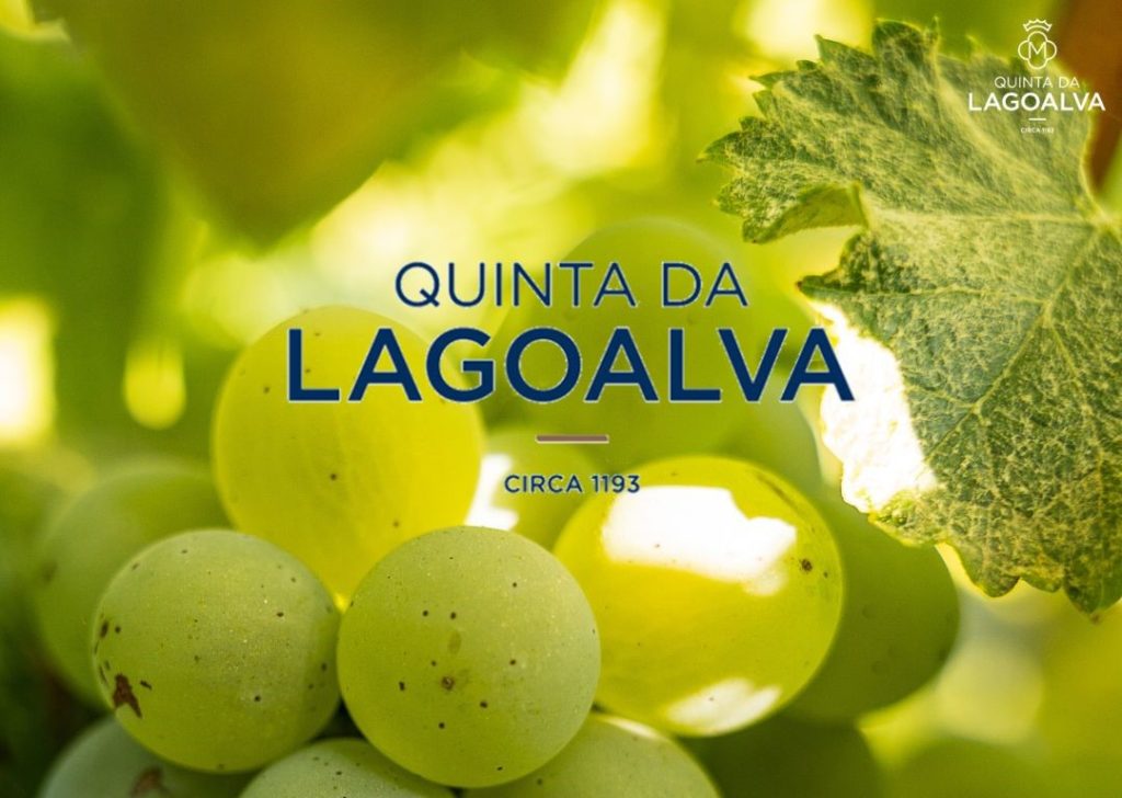 A Quinta da Lagoalva foi certificada recentemente com o selo Sustainable Winegrowing Portugal, no âmbito do Referencial Nacional de Certificação de Sustentabilidade do Sector Vitivinícola, criado pelo Instituto da Vinha e do Vinho (IVV) e promovido pela ViniPortugal.