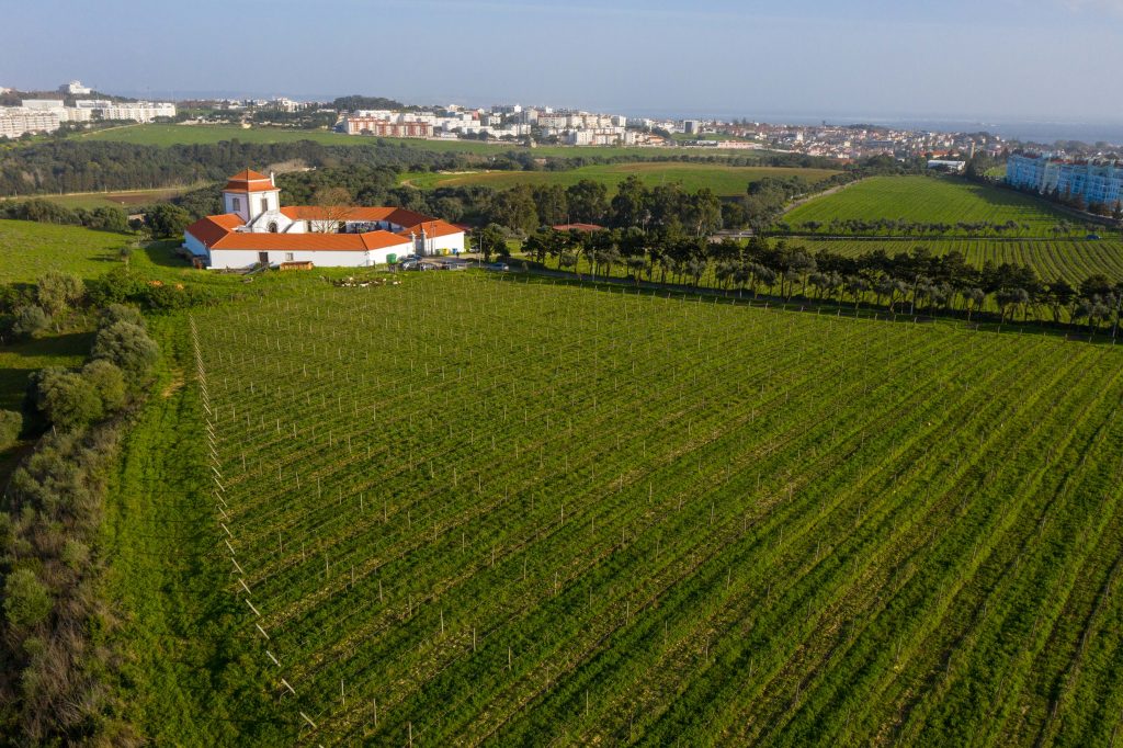 CARCAVELOS VILLA OEIRAS