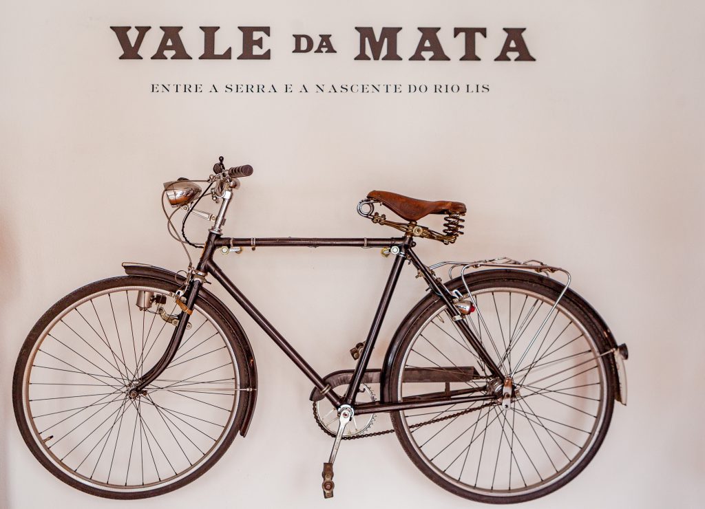 Vale da Mata