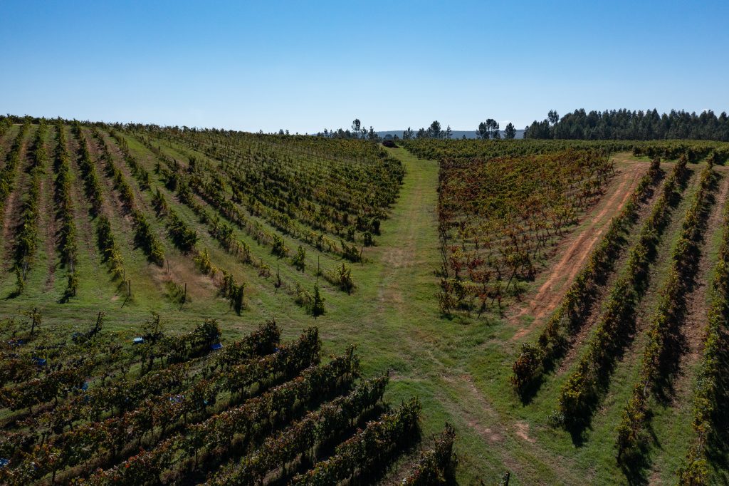 Quinta da Giesta