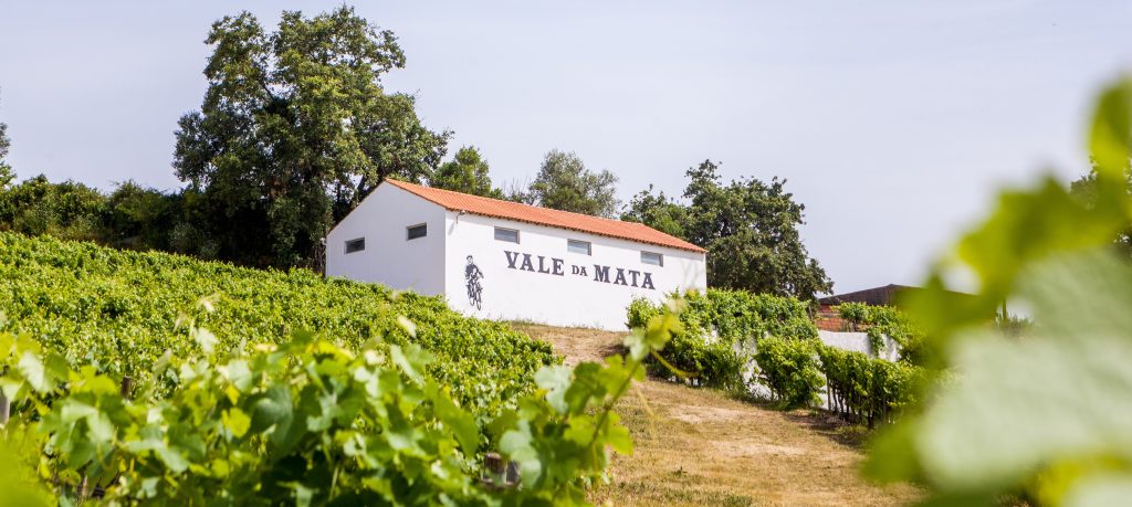 Vale da Mata