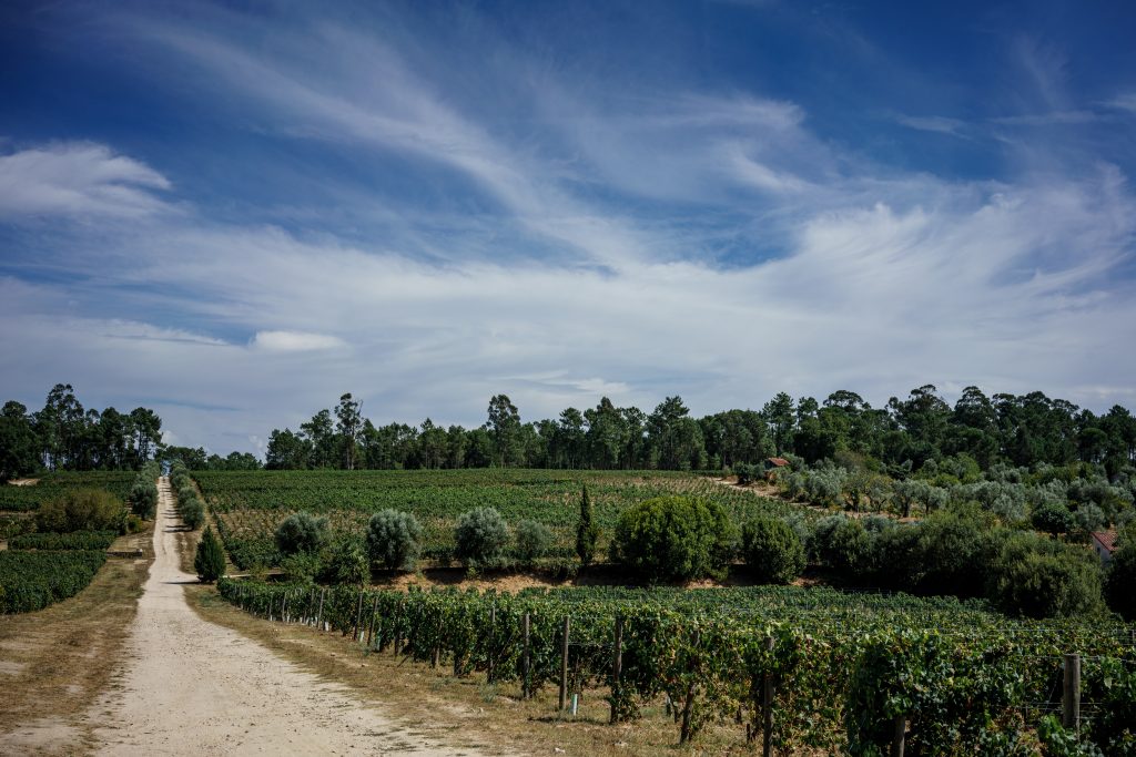 Quinta do Perdigão