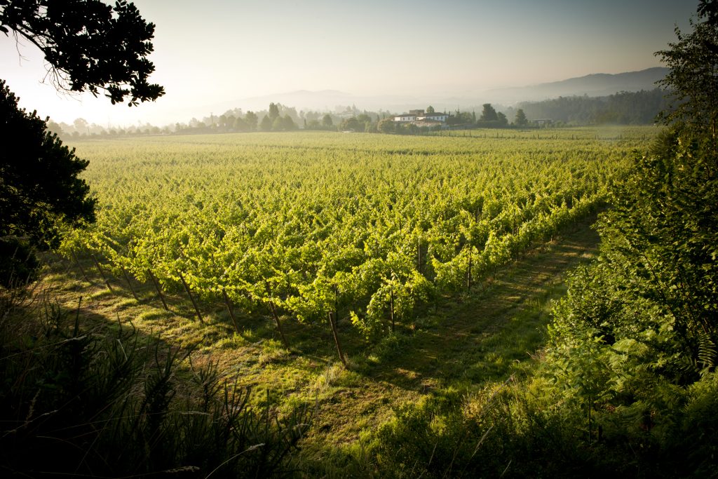 Quinta de Azevedo