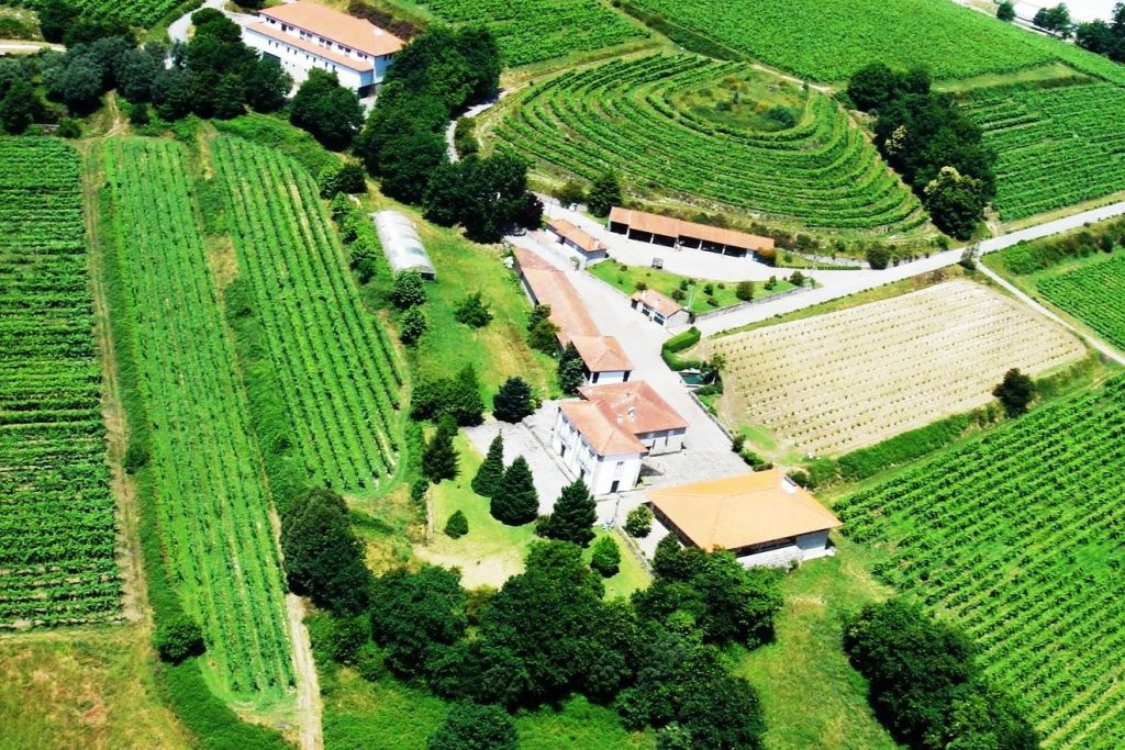 A eleição resultou de uma candidatura conjunta dos municípios de Arcos de Valdevez, Ponte da Barca, Ponte de Lima e Viana do Castelo