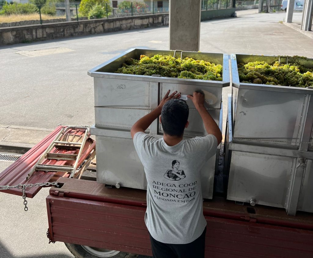 A Adega de Monção decidiu, em Assembleia Geral, fixar um valor máximo de 1,25€/kg de uva recebida dos seus mais de 1600 associados, valor que abrange 99% da colheita de uva da casta Alvarinho