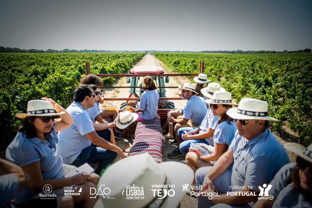 Enoturismo do Centro de Portugal vai estar presente na Fitur 2025, uma das maiores feiras mundiais de turismo, que decorre entre os dias 22 e 26 de Janeiro em Madrid,