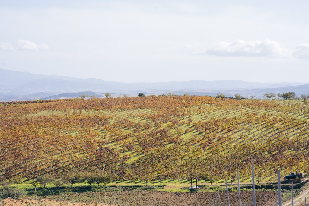 Valle de Passos