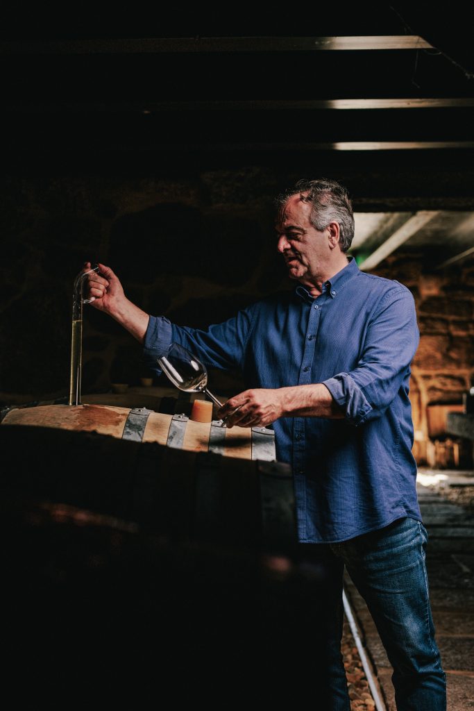 Anselmo Mendes
