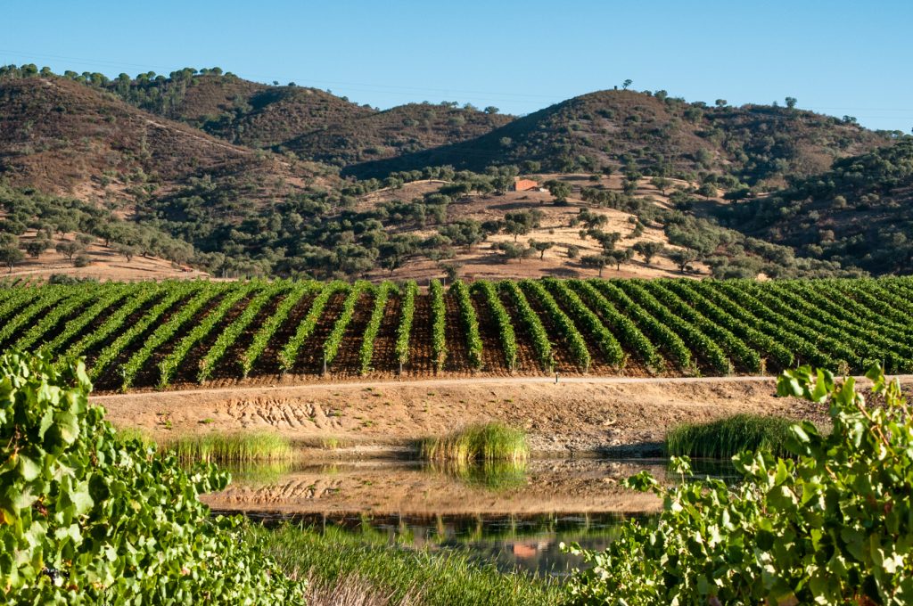 ALENTEJO