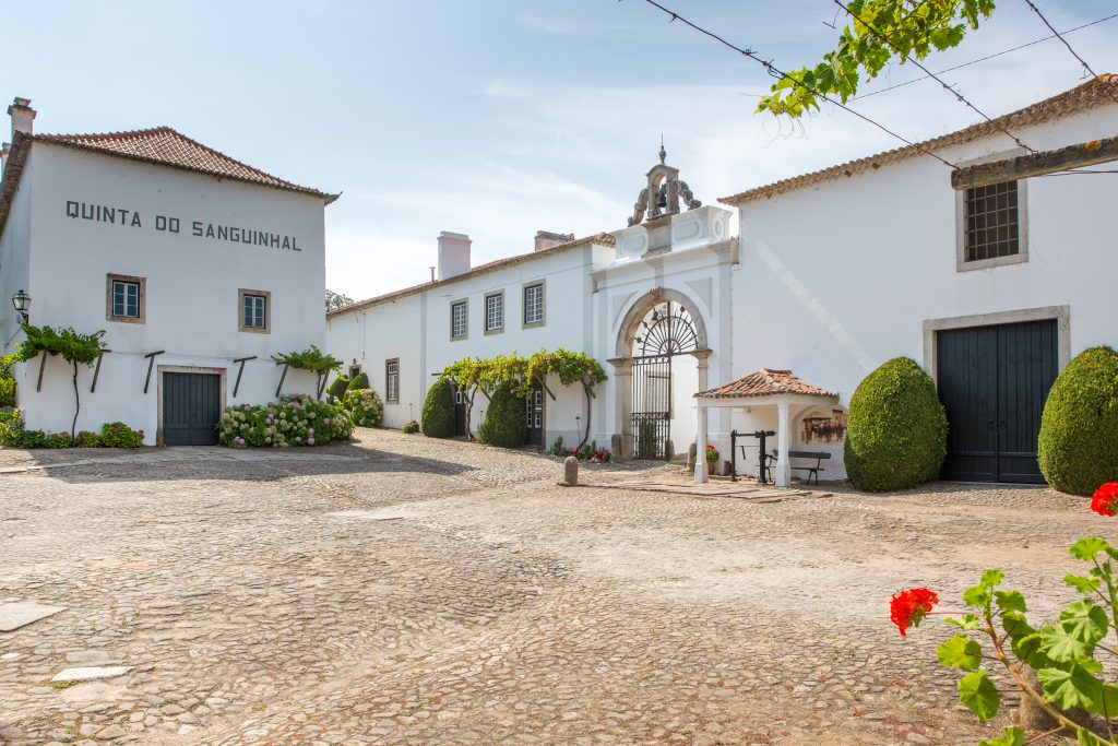 Sanguinhal