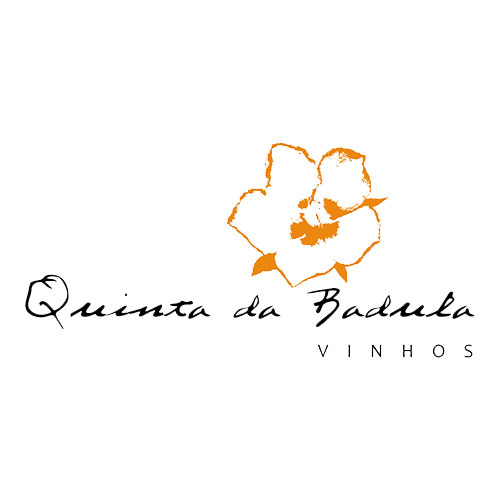 113-cvrtejo-quinta-da-badula