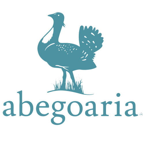 91-abegoaria