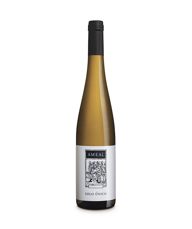 vinho